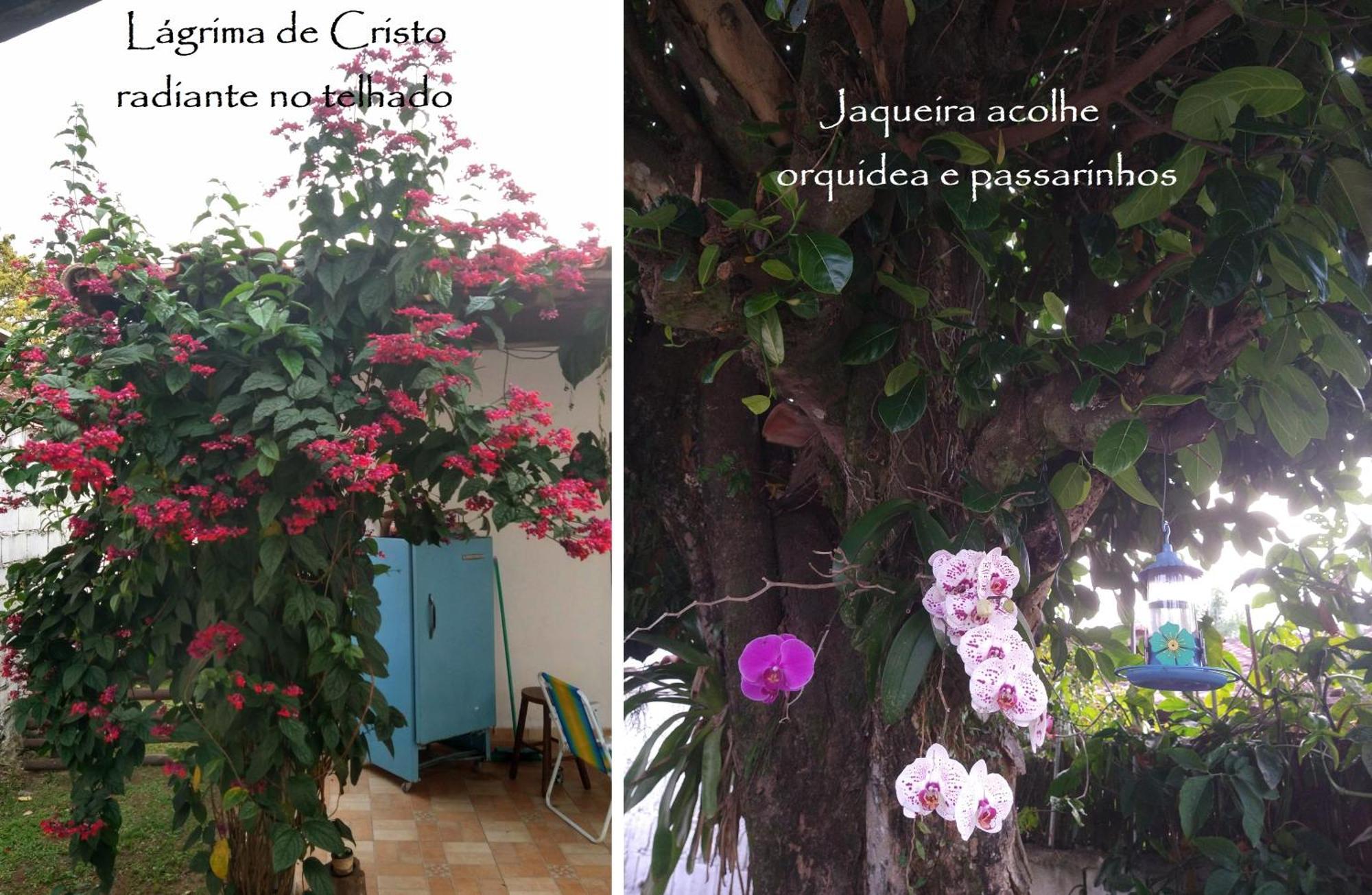 Chale Das Princesas Ilhabela Exterior photo